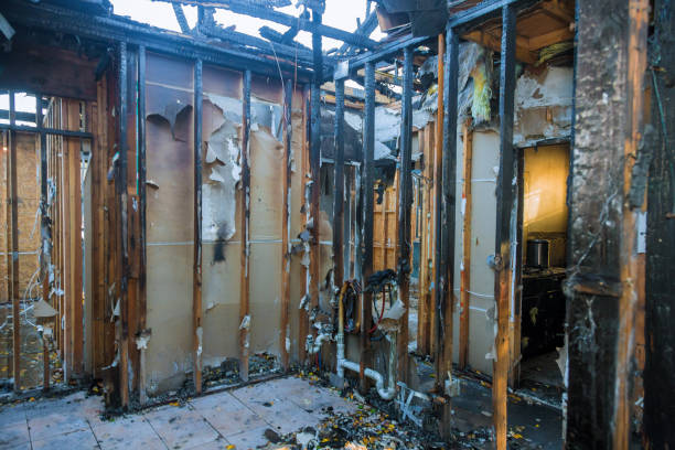 Professional Fire Damage Assessment technician working in Clearwater Beach, FL